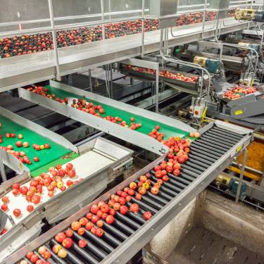 How Conveyor Belts Support Food Safety Compliance