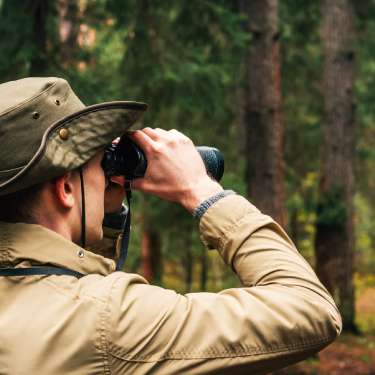 A park ranger in a tan shirt and green hat holds binoculars to his eyes and looks out into a forest of tall trees.