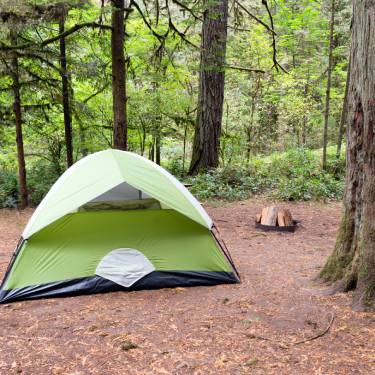 A light green camping tent in the woods next to a tree. Logs are stacked for a fire behind the tent.