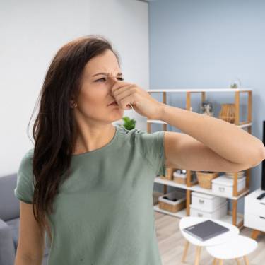 What’s That Smell? Where To Find Strange Smells in Your Home