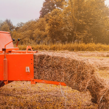 News Videos, Events, and Features