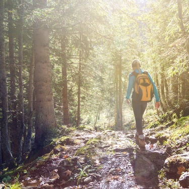 News Videos, Events, and Features