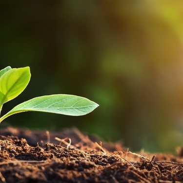 News Videos, Events, and Features