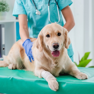 News Videos, Events, and Features