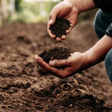 Agricultural Processes for Testing Soil Quality