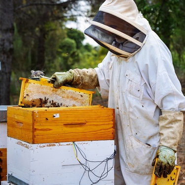 News Videos, Events, and Features