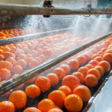 Safety Materials in the Food Processing Industry
